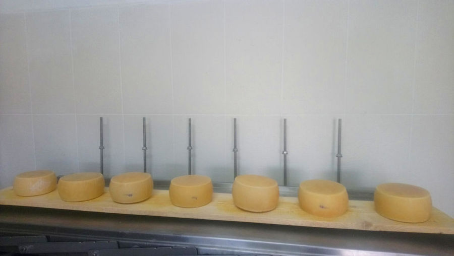 view up close of round graviera cheeses on wood timber at 'Naos' plant